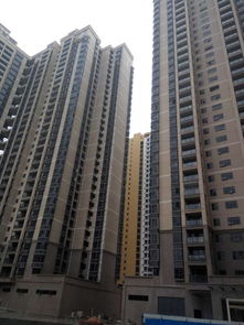 南山后花園 深圳石巖綠景名都，十棟村委統(tǒng)建樓如何媲美商品房？