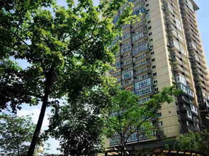 宜居優選 滿兩年西北向兩居室，方正戶型詮釋品質生活